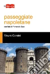 Passeggiate napoletane libro