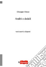 Anditi e dedali libro