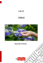 Attimi libro