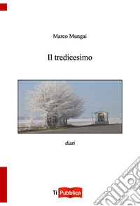 Il tredicesimo libro