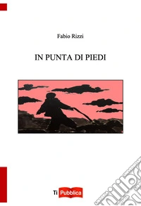 In punta di piedi libro