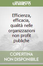 Efficienza, efficacia, qualità nelle organizzazioni non profit publiche libro