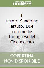 Il tesoro-Sandrone astuto. Due commedie bolognesi del Cinquecento libro