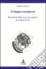 Sviluppo sommerso. Peculiarità della teoria prospettica di Andrea Pozzo