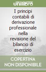 I principi contabili di derivazione professionale nella revisione del bilancio di esercizio libro