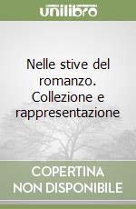 Nelle stive del romanzo. Collezione e rappresentazione libro