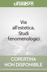 Via all'estetica. Studi fenomenologici libro