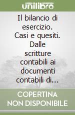 Il bilancio di esercizio. Casi e quesiti. Dalle scritture contabili ai documenti contabili di sintesi. Vol. 1