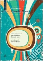 Expanded cinema libro