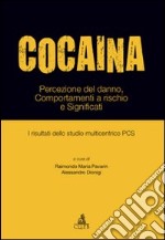 Cocaina. Percezione del danno, comportamenti a rischio e significati. I risultati dello studio multicentrico PCS libro