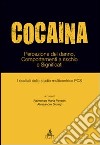 Cocaina. Percezione del danno, comportamenti a rischio e significati. I risultati dello studio multicentrico PCS libro