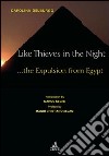 Like thieves in the night... The expulsion from Egypt libro