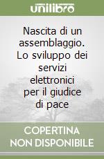 Nascita di un assemblaggio. Lo sviluppo dei servizi elettronici per il giudice di pace libro