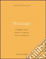 Trialogo. Giuseppe Gallo, Antony Gormley, David Hammons. Catalogo della mostra libro