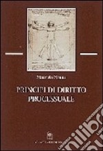 Principi di diritto processuale libro