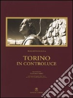 Torino in controluce libro