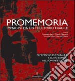 Promemoria. Immagini da un territorio fragile libro