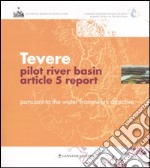 Tevere pilot river basin. Article 5 report. Pursuant to the water framework directive libro