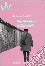 Angelo Candiano. Luce della complessità con paragrafi di fotosofia libro