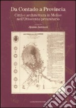 Da Contado a Provincia. Città e architettura in Molise nell'Ottocento preunitario. Ediz. illustrata libro