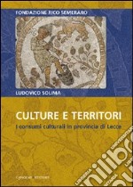 Culture e territori. I consumi culturali in provincia di Lecce libro