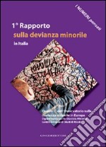 I numeri pensati. 1° Rapporto sulla devianza minorile in Italia