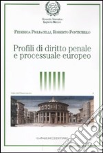 Profili di diritto penale e processuale europeo