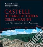 Castelli. Il piano di tutela dell'immagine. I colori del costruito nel paesaggio libro