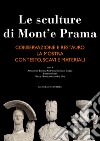 Le sculture di Mont'e Prama: Conservazione e restauro-La mostra-Contesto, scavi e materiali. Ediz. illustrata libro