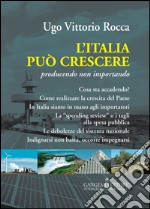 L'Italia può crescere. Producendo non importando libro