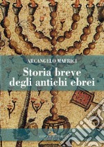 Storia breve degli antichi ebrei libro