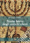 Storia breve degli antichi ebrei libro