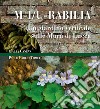 M-i/u-rabilia. Un giardino verticale sulle mura di Lucca. Ediz. illustrata libro
