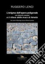 L'enigma dell'opera poligonale con blocchi concavi e il rilievo delle mura di Amelia libro