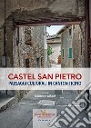 Castel San Pietro. Paesaggi culturali in Canton Ticino. Ediz. illustrata libro di Albani F. (cur.)