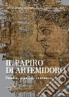 Il papiro di Artemidoro. Studio, analisi, restauro libro di Sebastiani M. L. (cur.) Cavalieri P. (cur.)