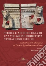 Storia e archeologia di una vocazione produttiva attraverso i secoli. Dalla Domus Galloniana al Centro Agroalimentare Roma libro