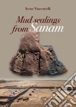 Mud sealings from Sanam