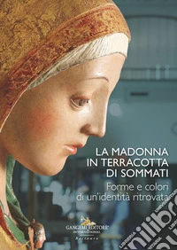 La madonna in terracotta di Sommati. Forme e colori di un'identità ritrovata libro