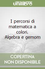 I percorsi di matematica a colori. Algebra e gemom libro