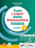 Tutti i colori della matematica. Ediz. verde. Algebra. Con Quaderno di inclusione e recupero. Per il 1° biennio delle Scuole superiori. Con e-book. Con espansione online. Vol. 1 libro usato