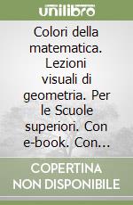 Colori della matematica. Lezioni visuali di geometria. Per le Scuole superiori. Con e-book. Con espansione online libro