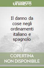 Il danno da cose negli ordinamenti italiano e spagnolo libro