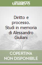 Diritto e processo. Studi in memoria di Alessandro Giuliani libro