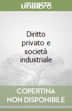 Diritto privato e società industriale libro