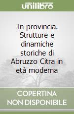 In provincia. Strutture e dinamiche storiche di Abruzzo Citra in età moderna libro