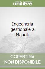 Ingegneria gestionale a Napoli libro