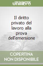 Il diritto privato del lavoro alla prova dell'emersione libro