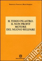 Il terzo pilastro. Il non profit motore del nuovo welfare libro