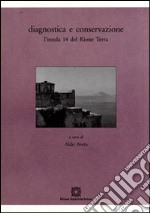 Diagnostica e conservazione. L'insula 14 del rione Terra libro